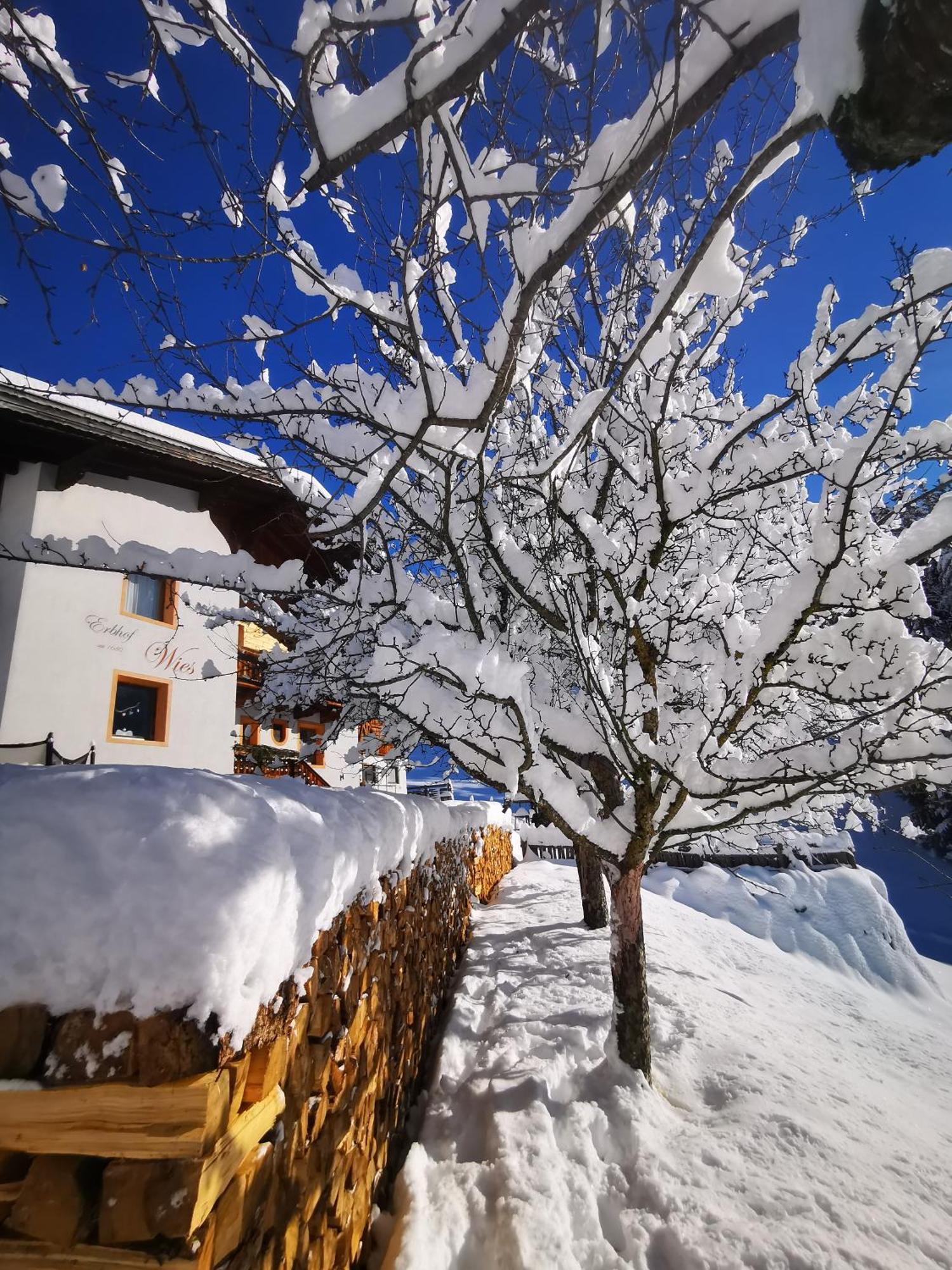 Wieserhof Tirol Oetz Extérieur photo